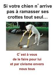 Si votre chien n'arrive pas &agrave; ramasser ses crottes tout seul, c'est &agrave; vous de le faire pour lui et par civisime